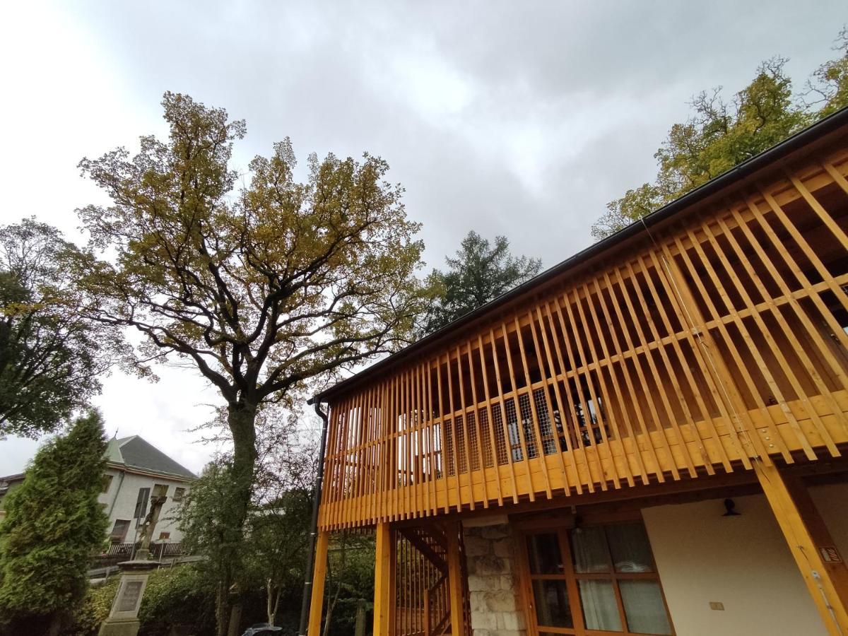 Apartment Ve Mlyne Teplice nad Metují Exterior foto